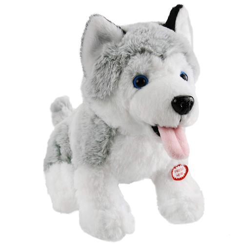 促销销售oem灰色哈士奇亮起玩具短毛绒狗 - buy plush dog,dog toys